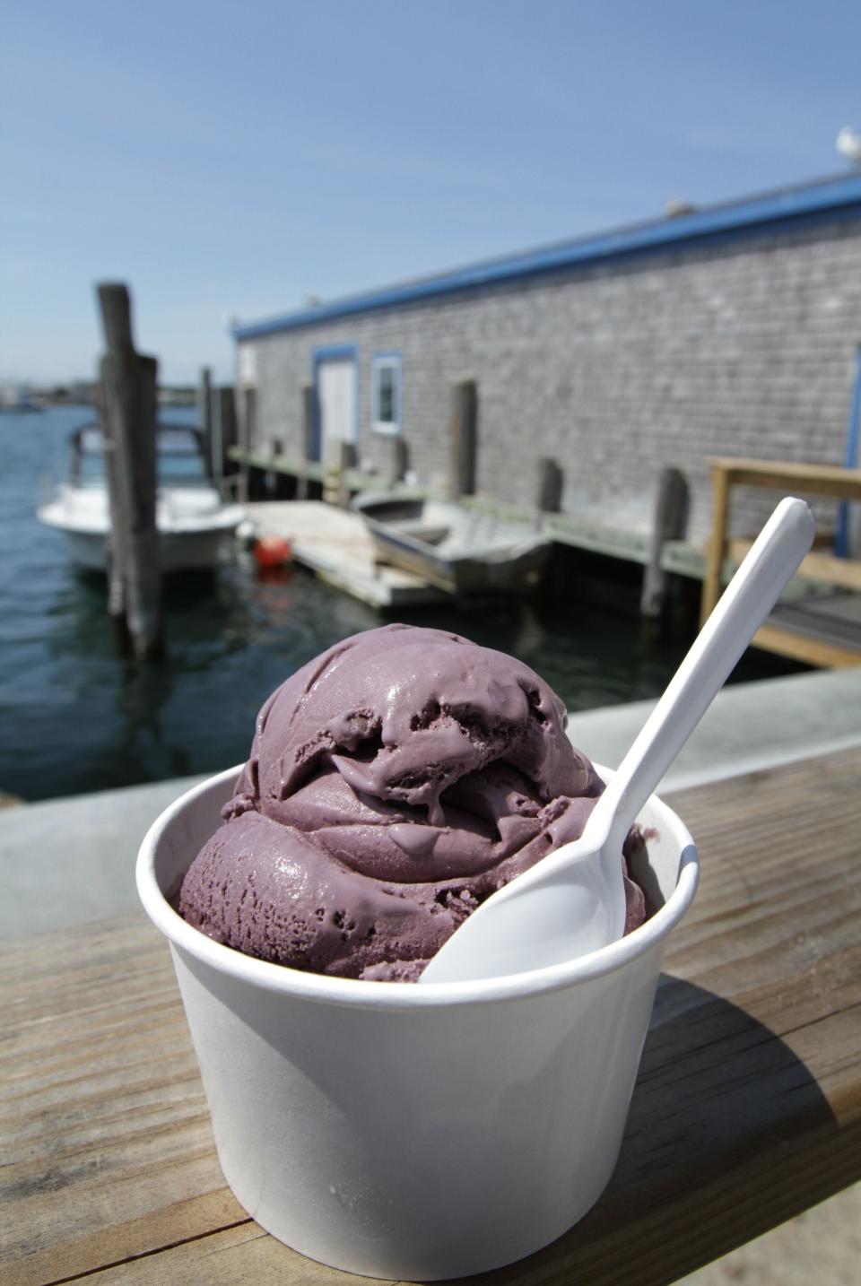 Black raspberry chip in a cup with a view at The Sweet Spot is an Ice Cream shop at Point Judith.