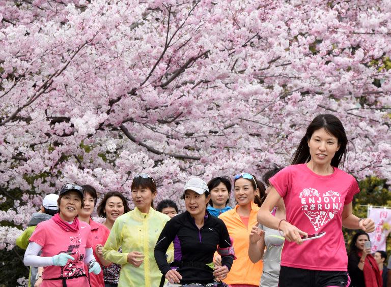 People jog under cherry blossoms in full bloom in Tokyo on March 29, 2015
