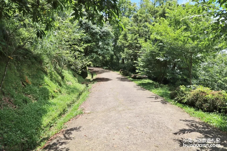 三峽熊空茶園