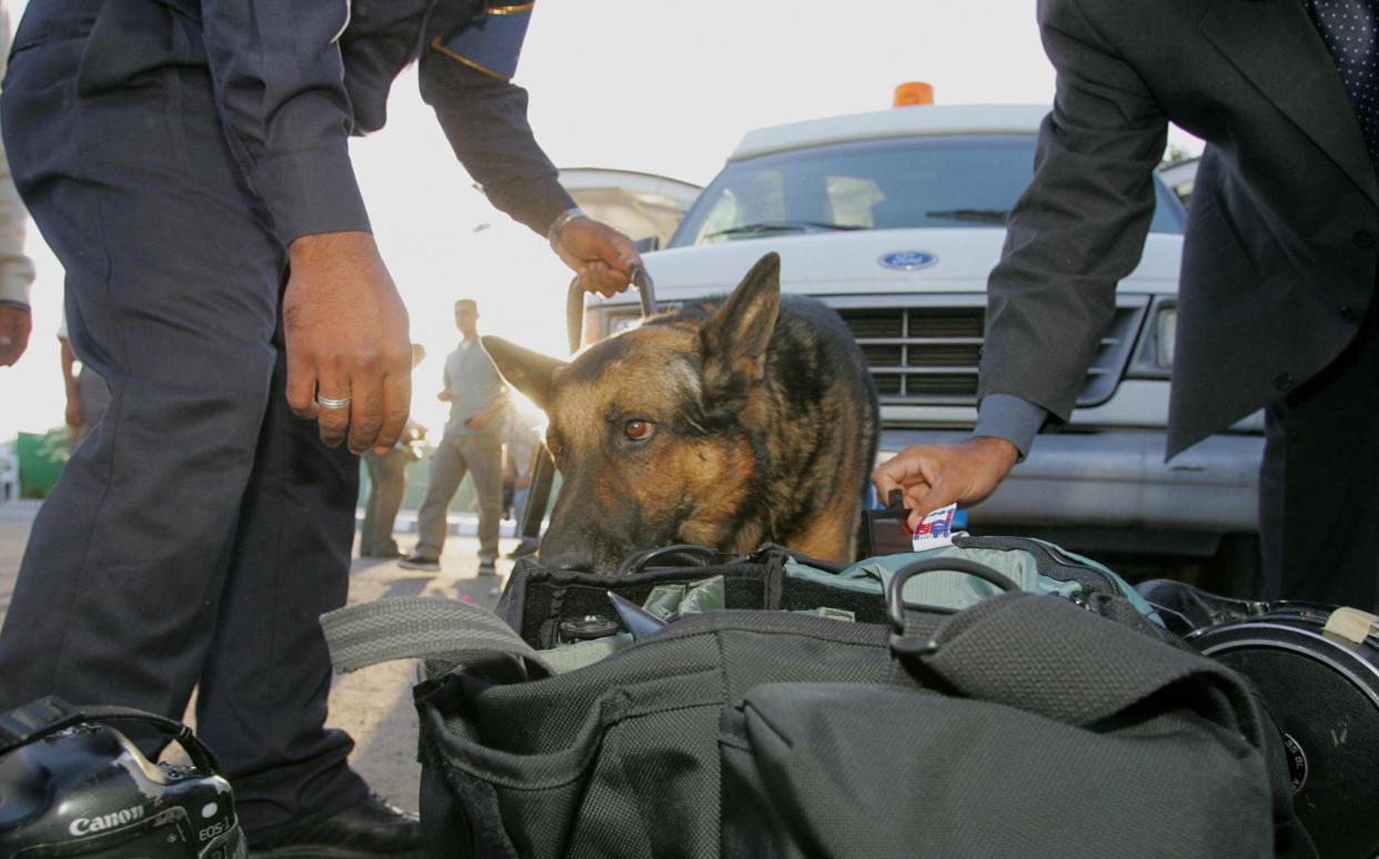 A sniffer dog is used by Egyptian security forces to check luggage: AFP via Getty Images
