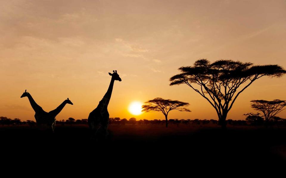 1. Alluring Africa