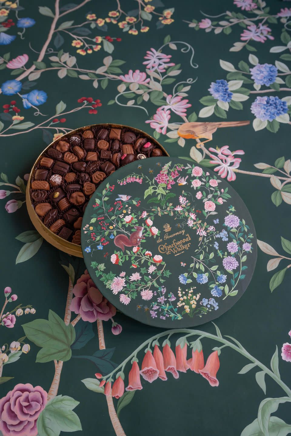 de gournay chocolate coronation