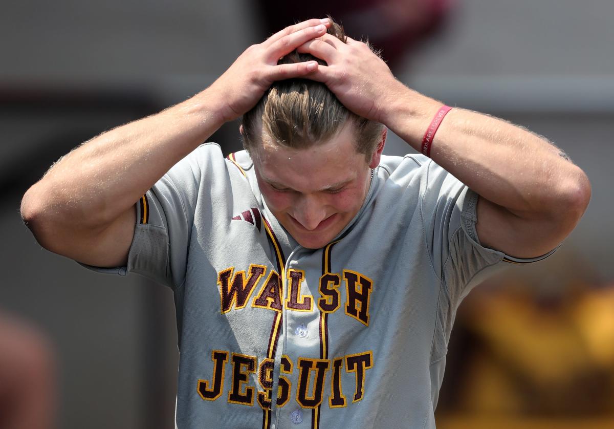 Moeller tops Walsh Jesuit in OHSAA baseball state semifinal