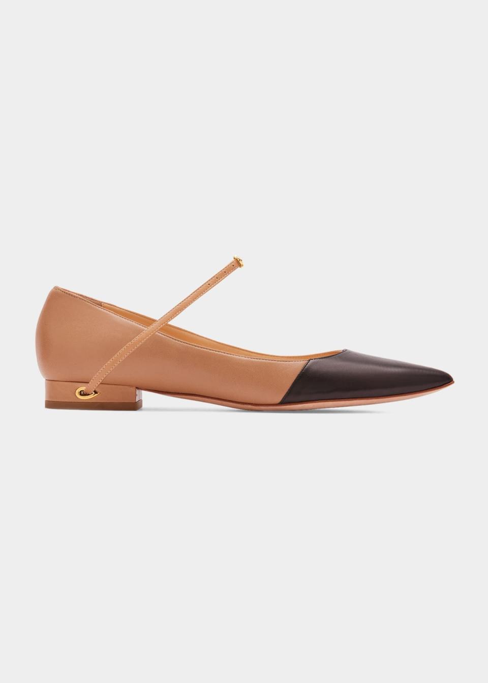 Lorenzo Bicolor Point-Toe Ballerina Flats