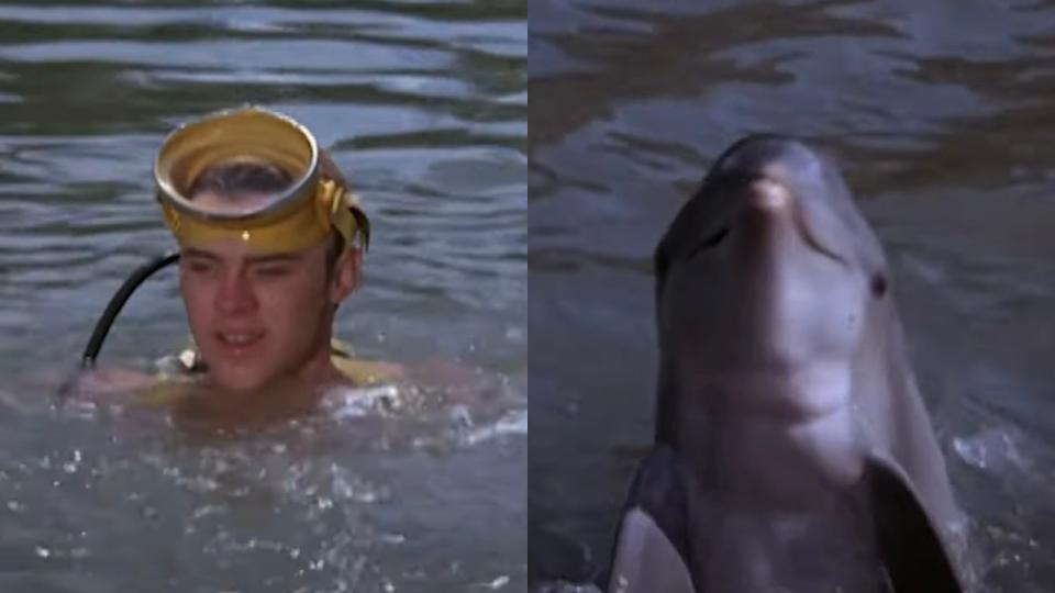 Luke Halpin and Flipper on Flipper