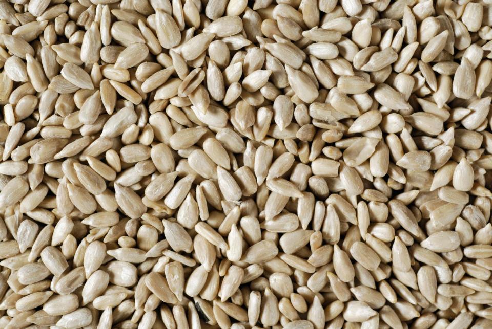 close up of sunflower seeds