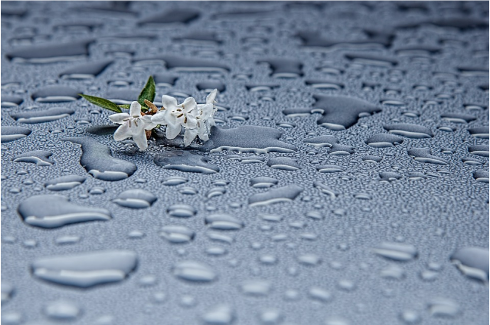 雨水 之 養肝健脾去水腫的三大方法