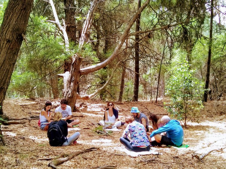 Los Shinrin-yoku, tal el nombre de los baños de bosque en su idioma original, nacieron en Japón en la década del 80 como terapia sugerida por los médicos contra el estrés