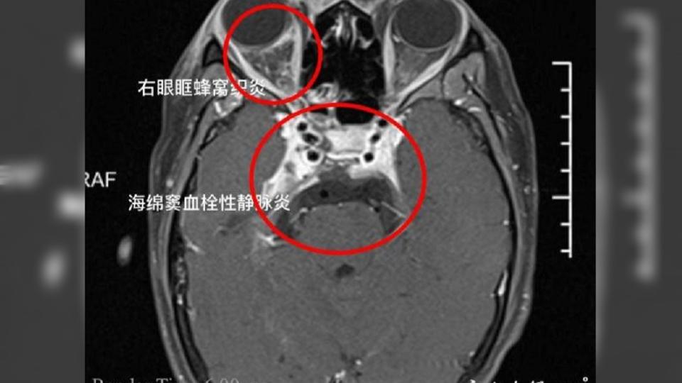 （圖／翻攝自中國寧波）