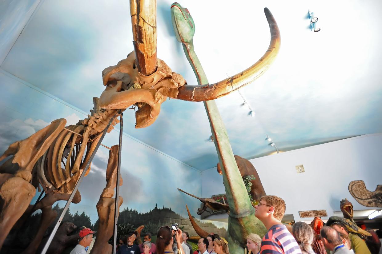 Scientists dug up the Burning Tree mastodon in 1989 in Licking County and possible cut marks on a few of the bones suggest it may have been butchered by people. Radiocarbon dates indicate the mastodon died around 13,300 years ago. This 2010 photo shows a tour group looking up at a replica.
