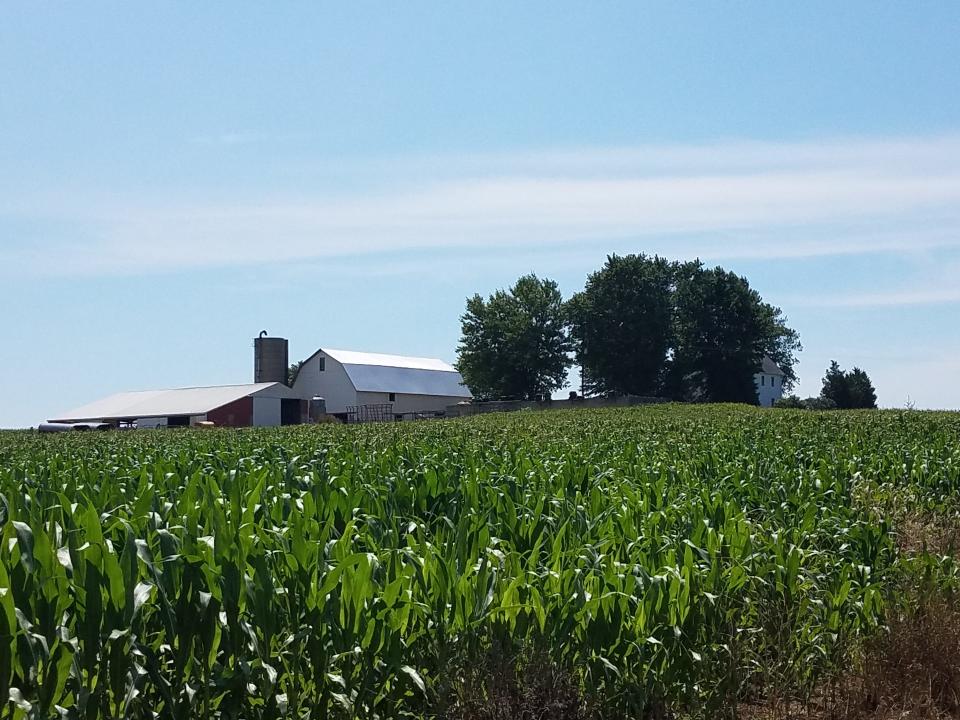 Preserving farms, such as this Ottawa County farm, helps maintain the rural character of the Macatawa Watershed.