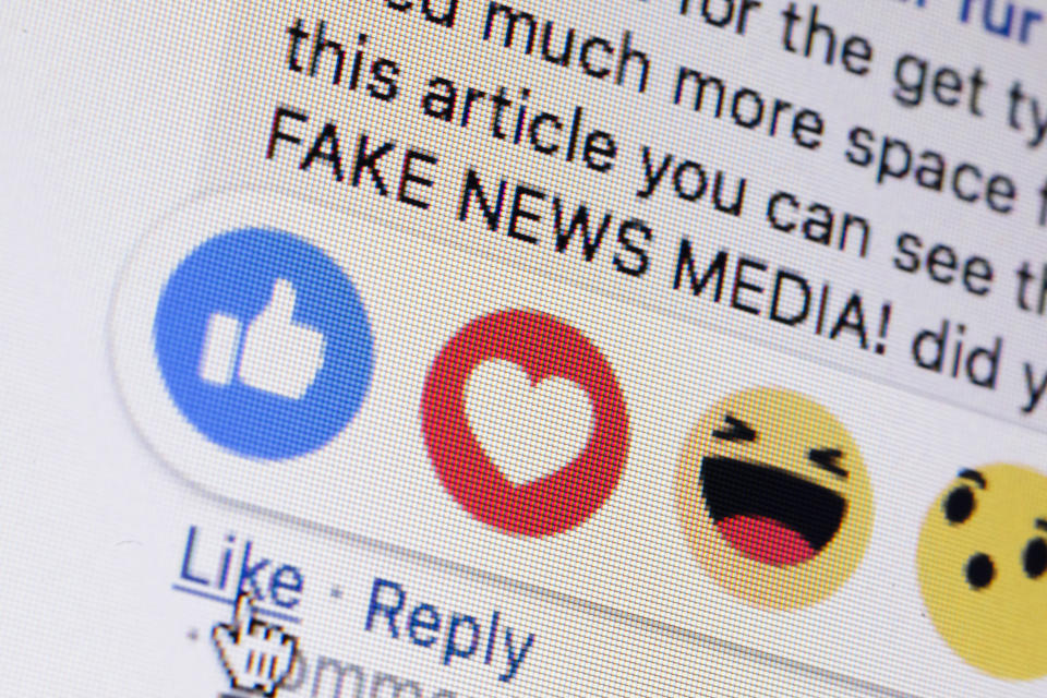 Berlin, Germany - March 01: Symbolic photo on the topic of fake news in social media. Next to the 'like me' button from facebook the words 'fake news media' are displayed on a computer screen on March 01, 2019 in Berlin, Germany. (Photo Illustration by Thomas Trutschel/Photothek via Getty Images)