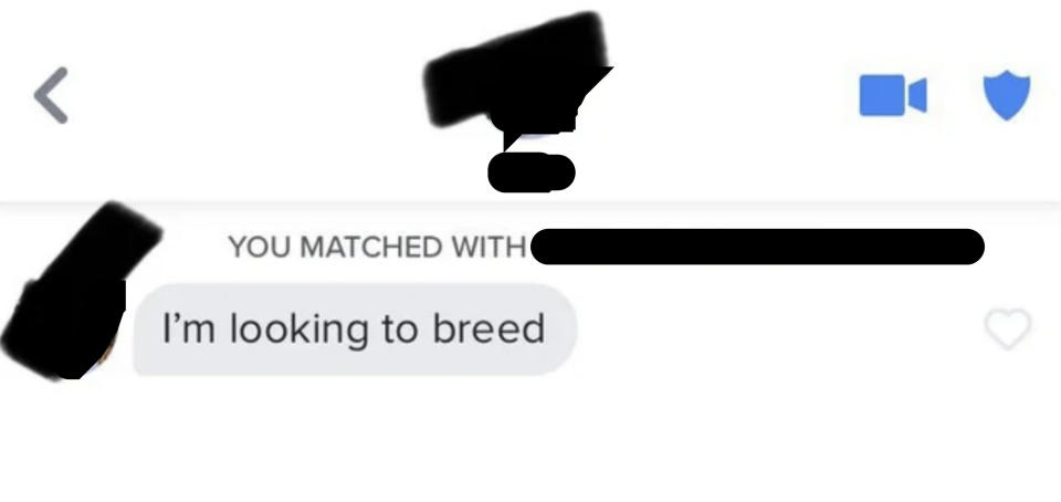 The conversation is one text long and simply says "I'm looking to breed"