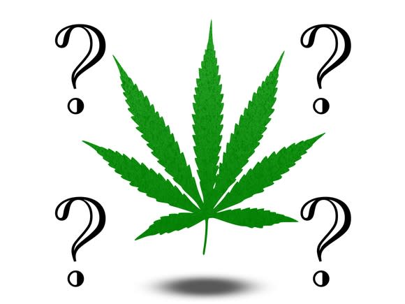 Marijuana leaf with four question marks surrounding it.
