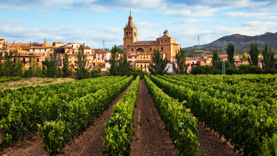 spain rioja region