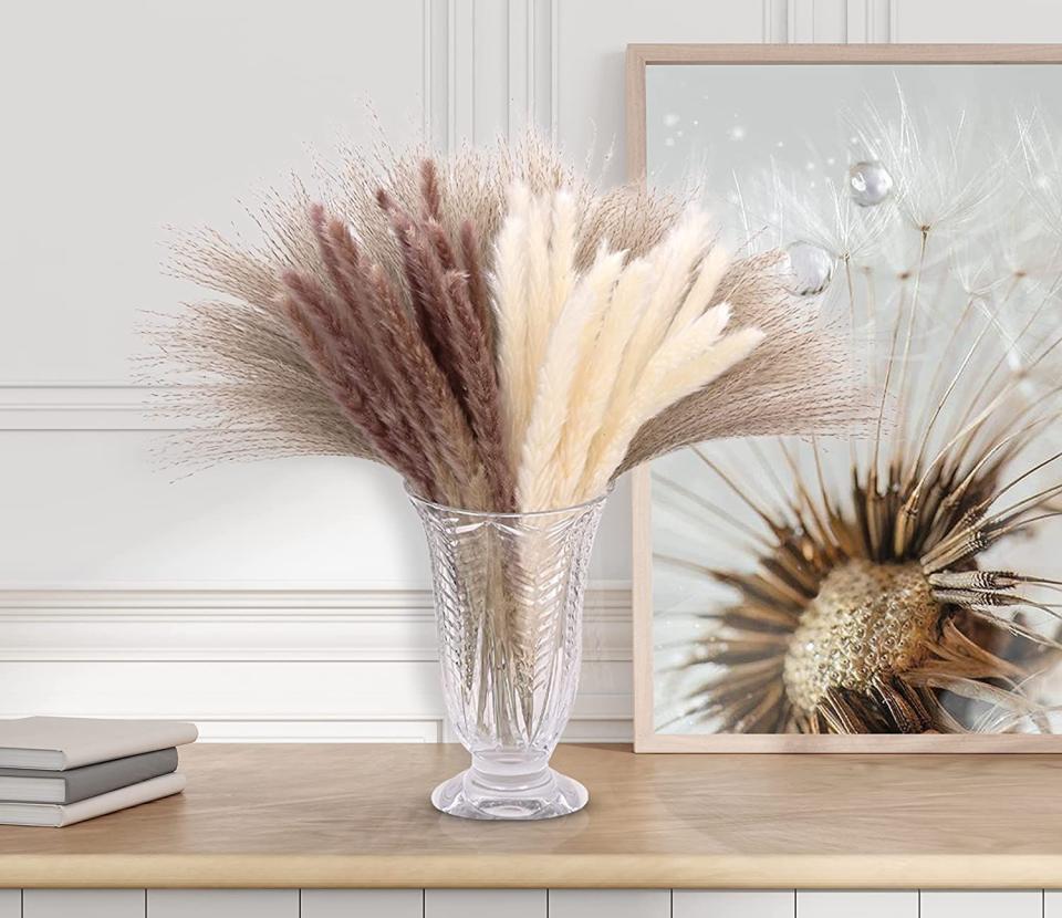 Long Dried Pampas Grass, Set of 15