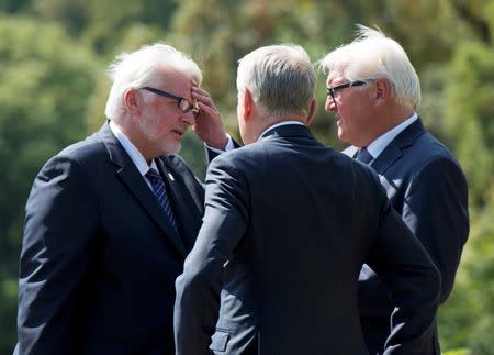 German Foreign Minister Frank-Walter Steinmeier (R) talks to the Poland's Foreign Minister Witold Waszczykowski (L) and French Foreign Minister Jean-Marc Ayraultin in Weimar, Germany, August 28, 2016. REUTERS/Jens Meyer/Pool