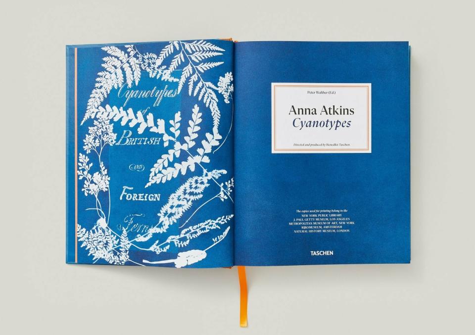 Anna Atkins Botanical Blueprints