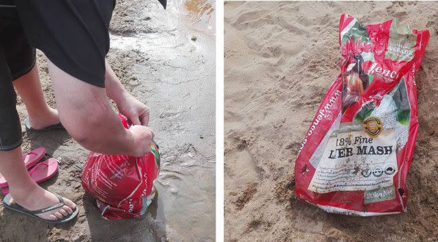 The cat was found stuffed into a chicken feed bag. Photo: Facebook/Katrina Thoroughgood