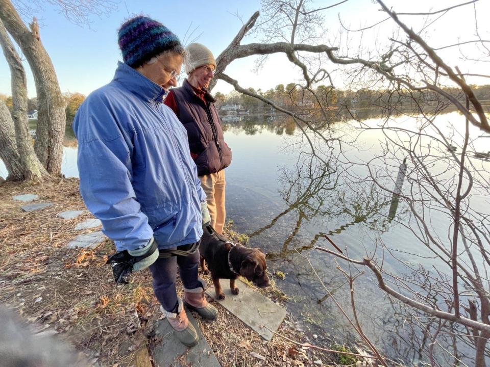 Steve Waller and his wife Jane Ward, with their dog Rosie, watch for herring starting to return to Centerville's Long Pond on April 3.