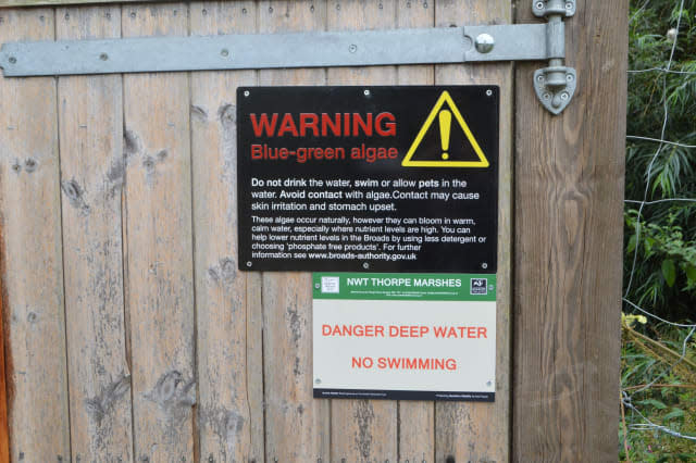 Norfolk marshes accident