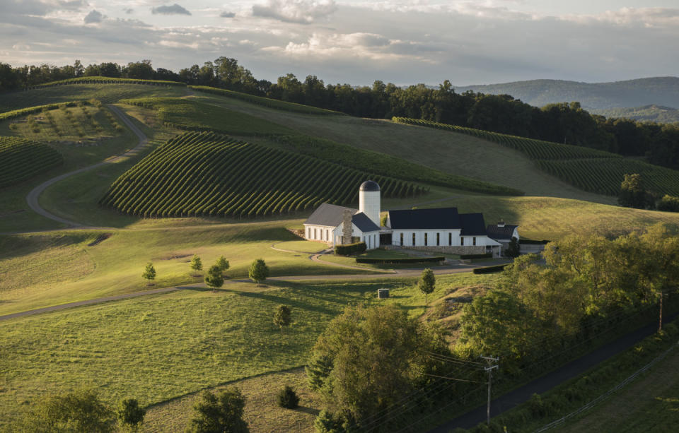 <p>Courtesy of RdV Vineyards | Photo by Jeff Mauritzen</p><p><strong>2021 Rendezvous Tasting Notes</strong>: The Virginia growing season always begins with a bang, but this was particularly true in 2021. With an explosive start in the spring, the vines gained momentum throughout the summer and were approaching full ripeness by autumn.</p><p>The season’s warmth translated into the quintessential lush style we adore in Rendezvous. Immediately pleasurable, supple in nature, and full of generous black fruits, this is a seductive wine that begs to be enjoyed.</p><p>Merlot - 51% | Cabernet Franc - 21% | Petit Verdot - 20% | Cabernet Sauvignon - 8%</p>