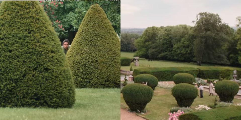 hedges shaped like a triangle next to round hedges in persuasion