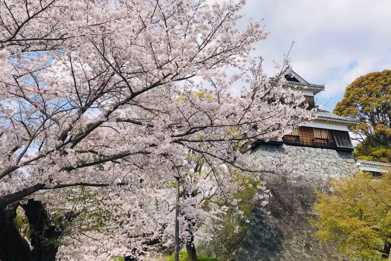 Kumamoto Castle, and Kurokawa Onsen Day Tour from Fukuoka. (Photo: Klook SG)