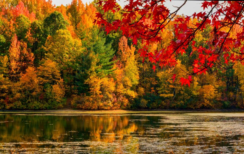 If you’re looking for peak foliage dates, Yankee magazine always has a great guide with its New England fall foliage forecast.