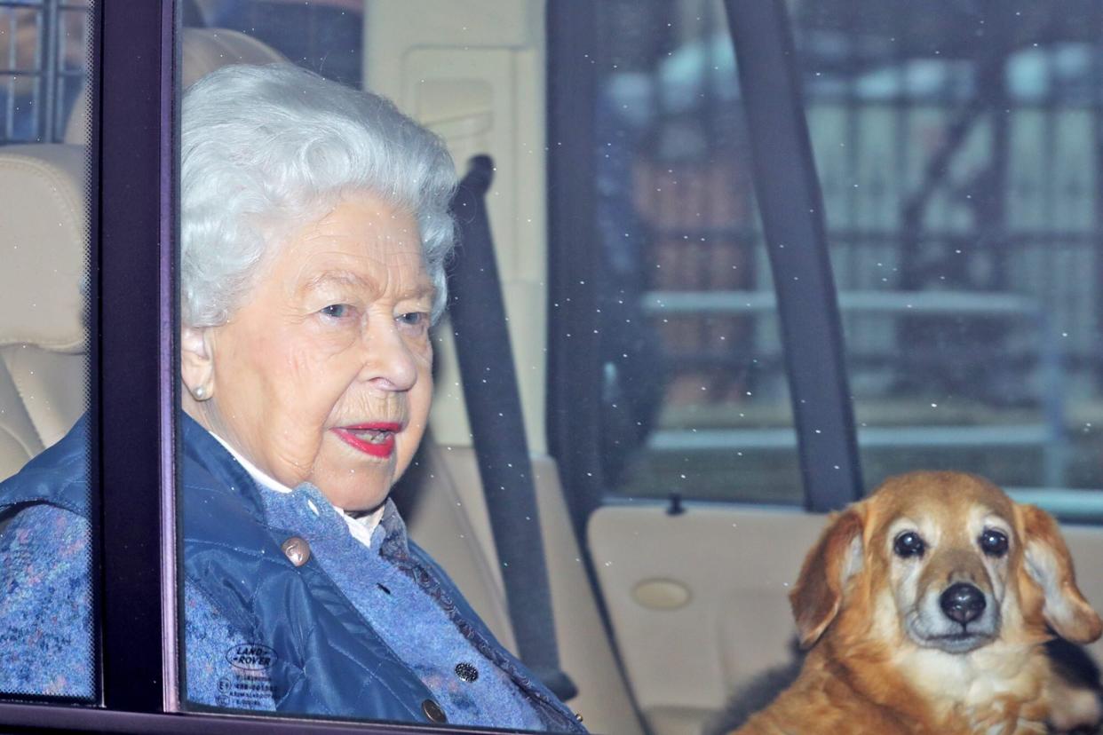 Elderly Queen Elizabeth sitting in car with dog on her lap