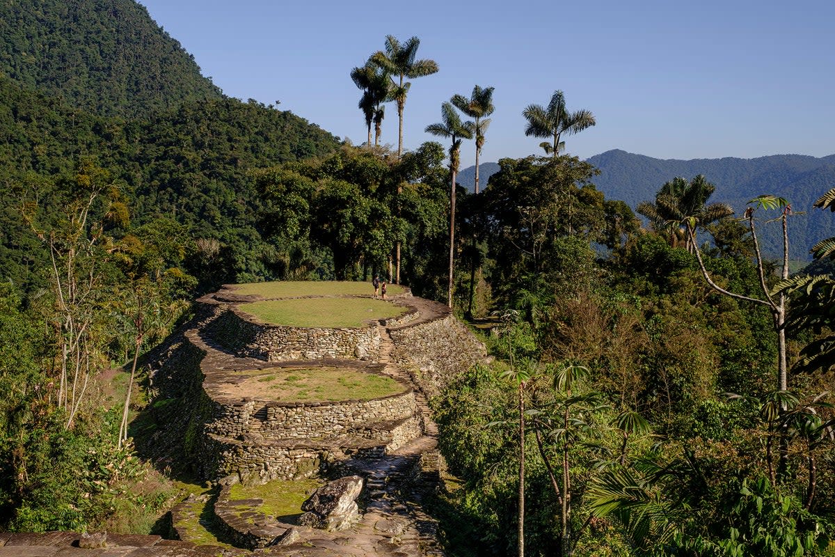 Ciudad Perdida was ‘rediscovered’ by the outside world in the 1970s  (Alex Robinson)