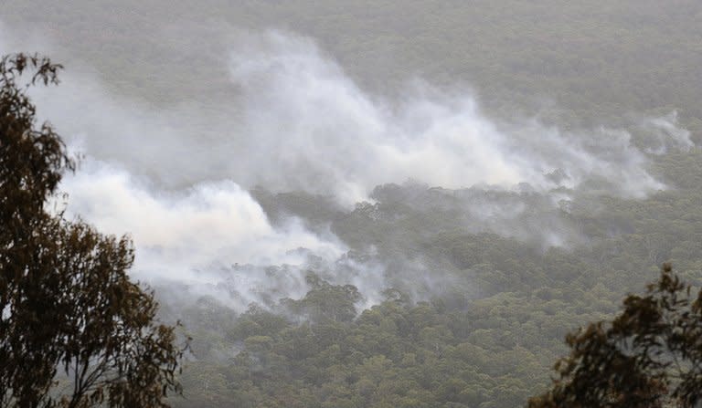 Smoke rises from the burning forest during the Kilmore East-Murrindini North fire on March 3, 2009. More than 10,000 people have joined the action against SP AusNet, which is majority owned by Singapore Power, over the Kilmore fire, which claimed 119 of the 173 lives lost