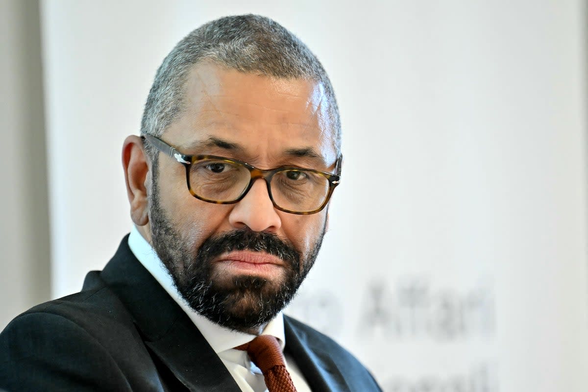 Home Secretary James Cleverly (AFP via Getty Images)