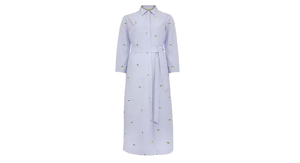 Hobbs Safia Shirt Dress