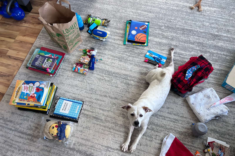 Dog laying in pile during decluttering.