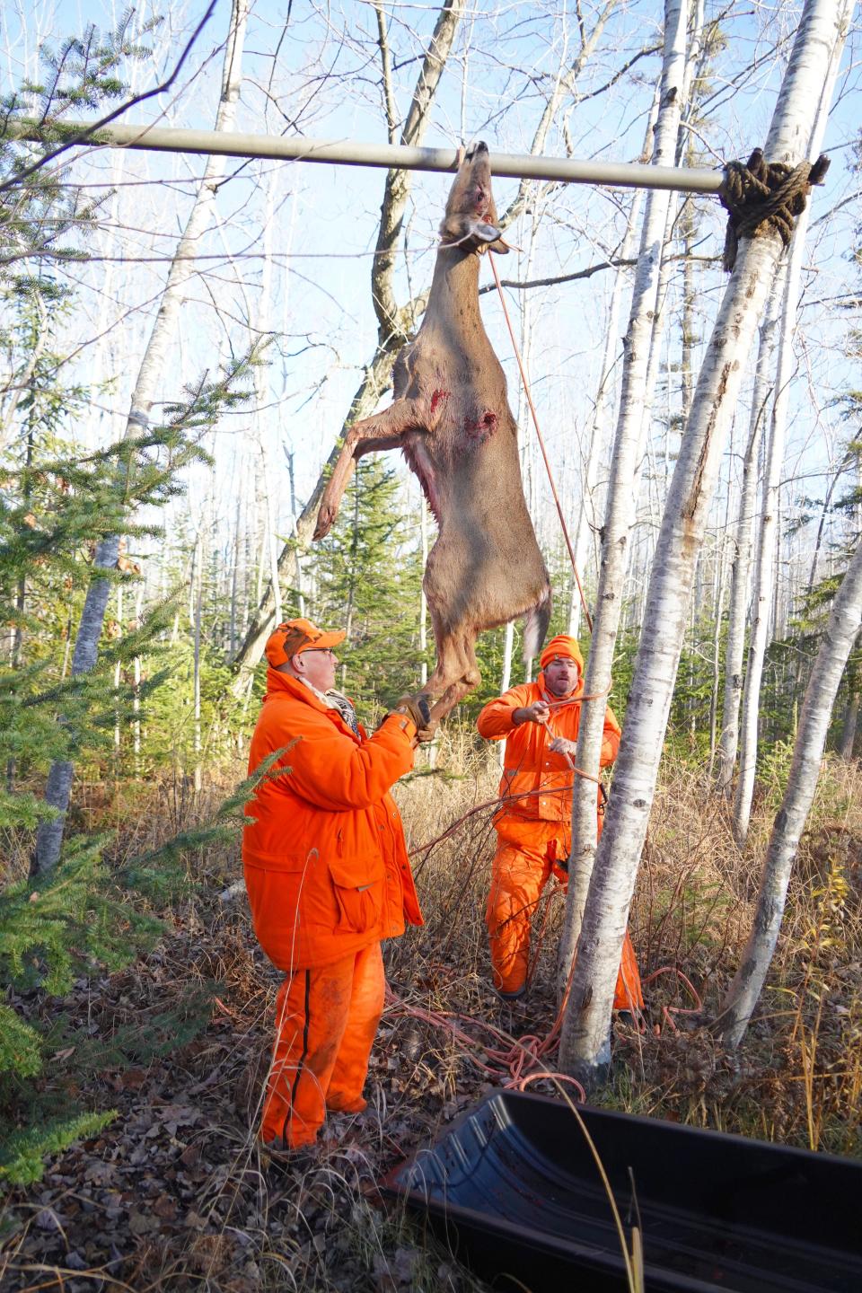 Thor Stolen of Milwaukee (right) helps secure a spike buck shot Nov. 18 by Jim Risgaard of La Pointe during a deer hunt on Madeline Island.