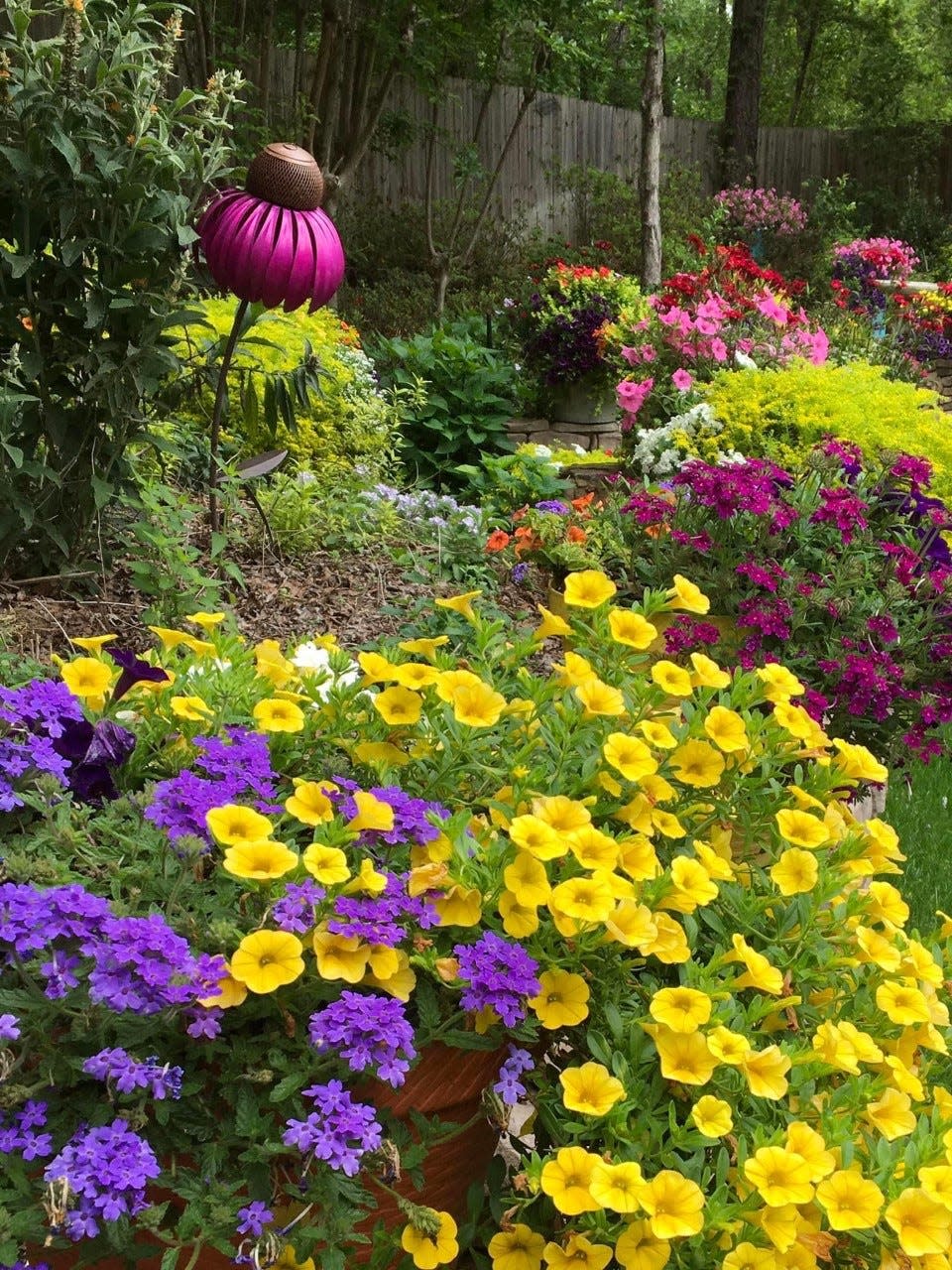 With the colors of spring in full bloom the Superbena Royale Plum Wine verbena stands out like royalty in the third container next to the Superbells Yellow calibrachoas.