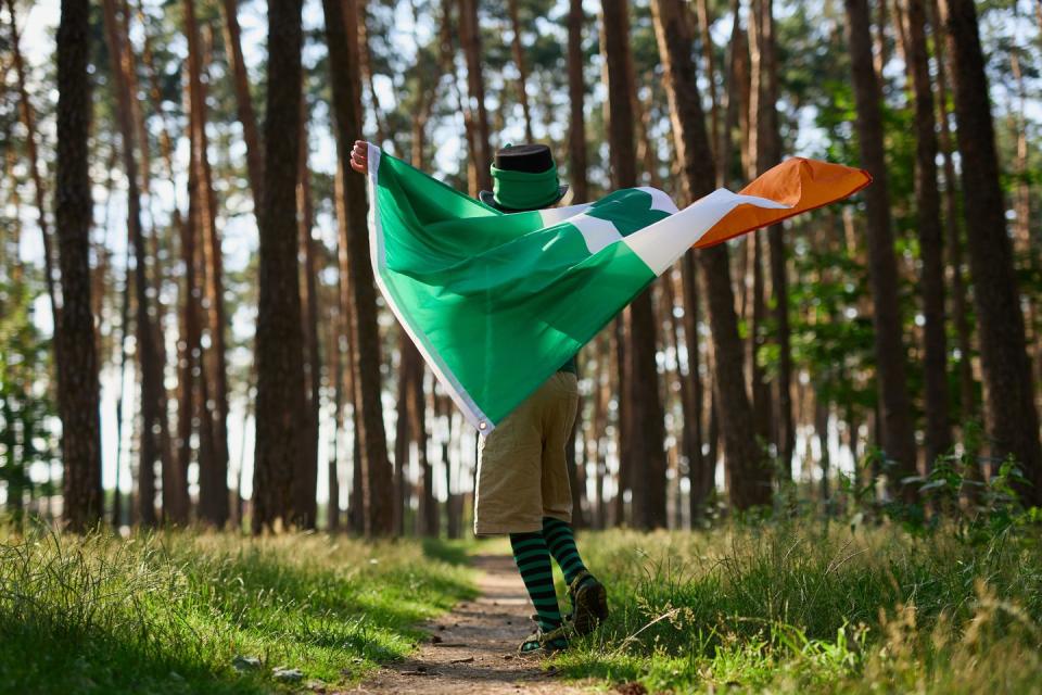 little boy dancing with large flag of ireland on saint patricks day