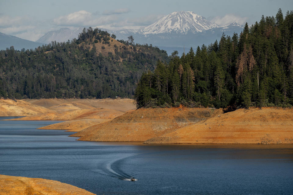 A boat crosses Shasta Lake on Sunday, May 23, 2021, in Shasta Trinity National Forest, Calif. The reservoir is at 45 percent of capacity and 52 percent of its historical average. (AP Photo/Noah Berger)