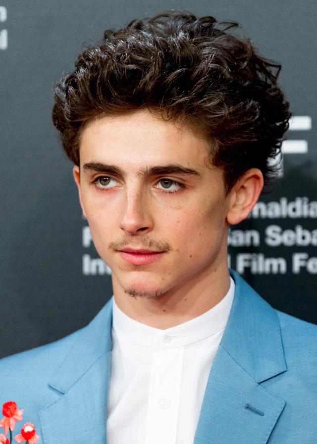 Timothée Chalamet  Haircuts for men, Hairstyle, Curly hair men