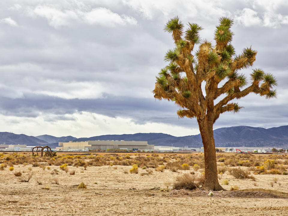 U.S. Air Force Plant 42 is a sprawling aircraft manufacturing complex in the Mojave Desert about 60 miles northeast of downtown Los Angeles<span class="copyright">Christopher Payne for TIME</span>