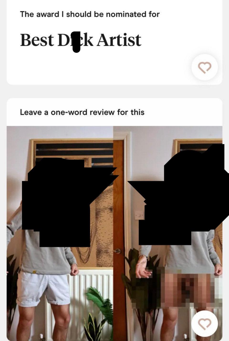 A section of a man's profile says he should be nominated for "best dick artist," and then there's a picture of him naked (it is pixelated for the sake of the post)