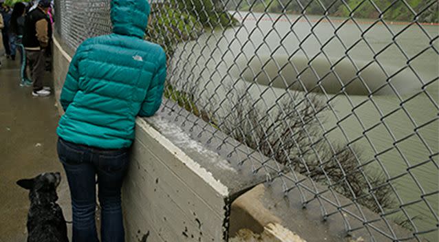 Sightseers are separated from the lake by a wisely placed fence. Photo: AP