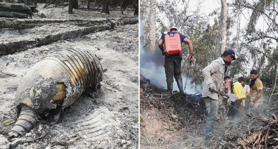 Split screen. A burnt out armadillo in the ash. Five fire fighting volunteers battle a blaze on a hill. Source: CIWY