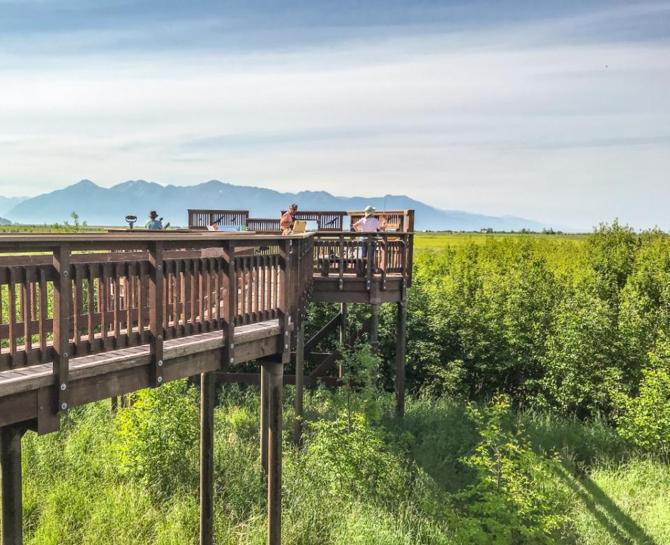 Potter’s Marsh near Anchorage, Alaska, is a wetland for birds. Many come and enjoy looking for various birds, animals, and foliage. On this day people could be seen painting on the boardwalk.