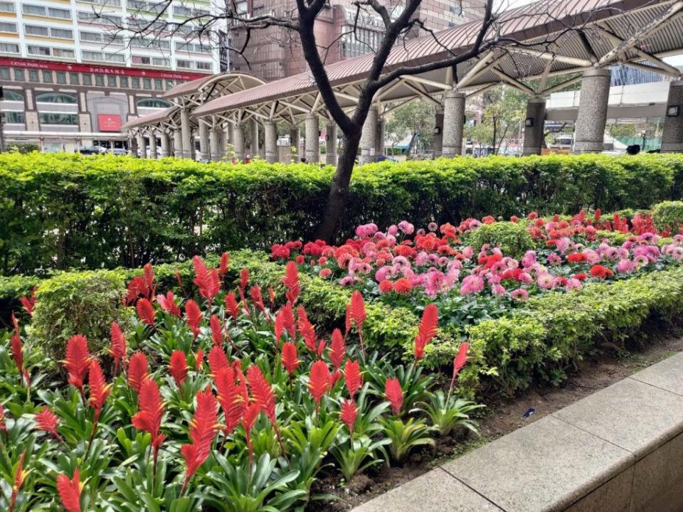 鮮艷的花卉在北車前廣場迎賓。