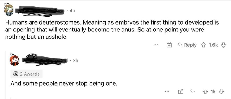 someone says humans start as buttholes and never stop being one