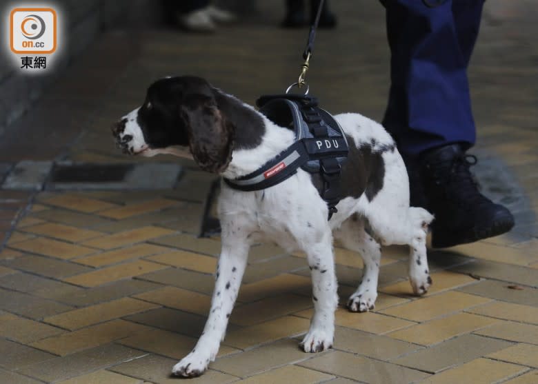 警方出動搜索犬。(李志湧攝)


