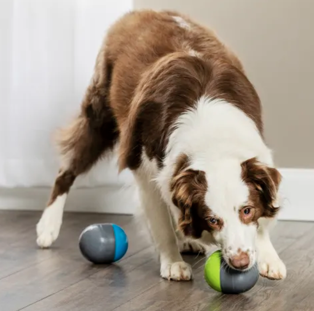 Ricochet Electronic Dog Toy