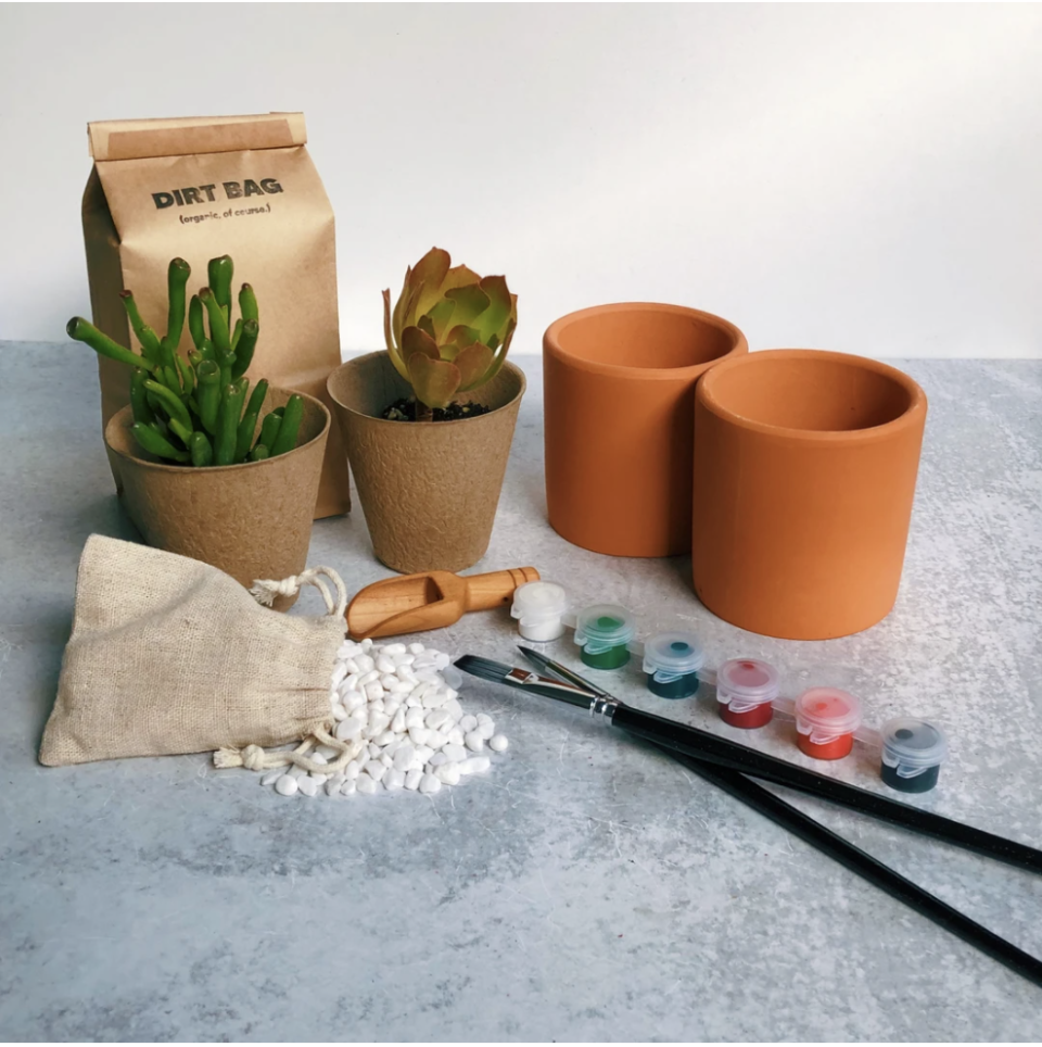 <p>This Black-owned plant startup provides "Self Care in a Box," offering single plants as well as a variety of boxes—like a paint-your-own-pot set, plus ones that include all-natural, hand-poured lip balm, sage smudge sticks, and scented room spray. Its boxes are the perfect gift for anyone who's in need of peace of mind, a mood boost, or a relaxing activity to give their eyes a respite from screen time. </p><p><a class="link " href="https://theniceplant.com/" rel="nofollow noopener" target="_blank" data-ylk="slk:Shop Now;elm:context_link;itc:0;sec:content-canvas">Shop Now</a></p>